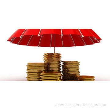 INVESTMENT TRANSACTION BUSINESS RISK